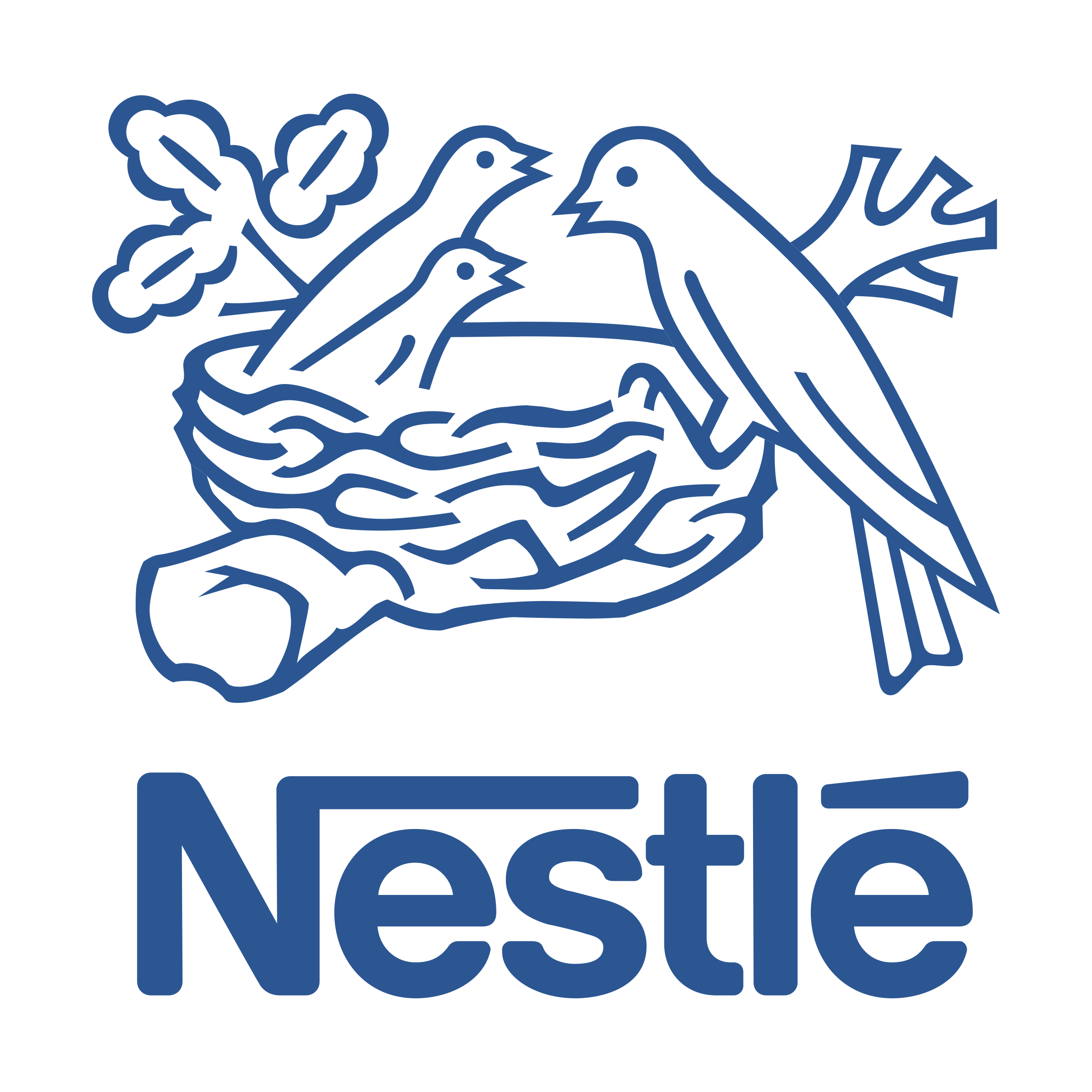 Nestlé Pakistan
