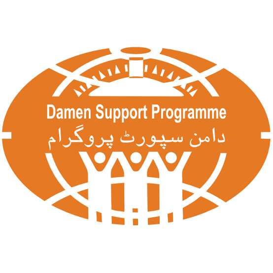 Damen Support Programme