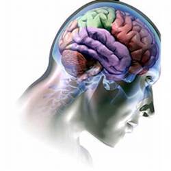سائیکالوجی کی تحقیق کے مطابق