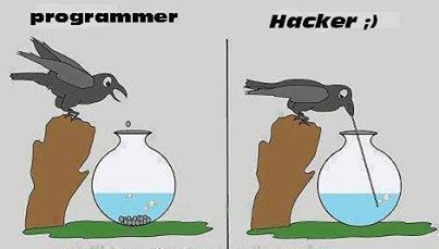 Hacker vs Programmer!!!  Which side is Yours ?