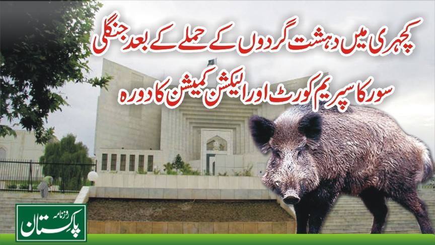 سپریم کورٹ اور الیکشن کمیشن میں جنگلی سور کا دورہ ، سیکیورٹی انتظامات کی قلعی گئی