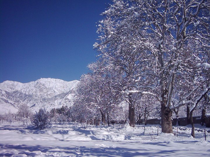 Beauty Of Pakistan....!!! :)  Parachinar, Kurram Agency.....!!! :)