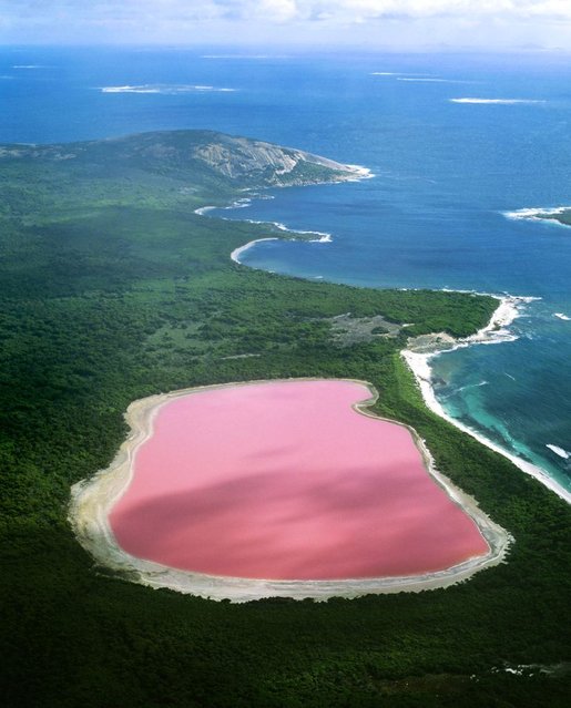 Hiller lake(pink lake), Western Australia......!!! جھیل (گلابی جھیل)، مغربی آسٹریلیاHillier