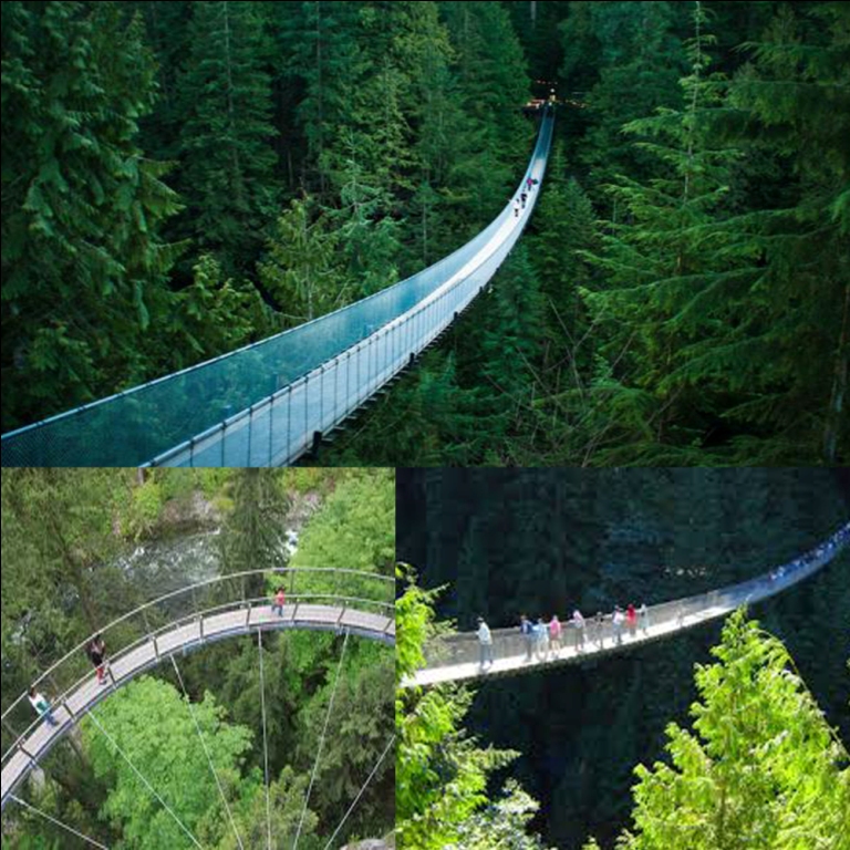 THE CAPILANO SUSPENSION BRIDGE IN VANCOUVER.......!!!