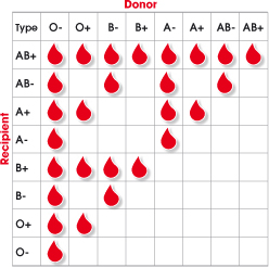 INTERESTING RESEARCH ABOUT ALL BLOOD GROUPS. 