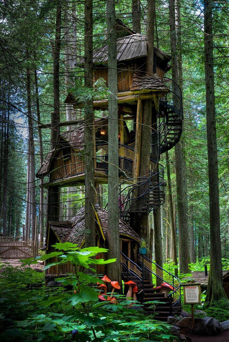 Three Story Treehouse (British Columbia, Canada).....!!!