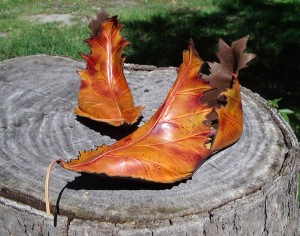 Nice Peter Pan shoe....!!!!