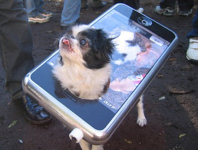 Apple Is Working On Two Larger iPhones, Per WSJ