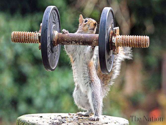 Is that heavy-weight champion?