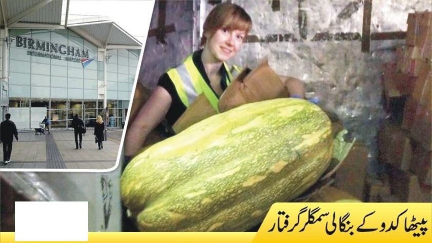 پیٹھاکدوبرطانیہ سمگل کرنیوالا ملزم گرفتار